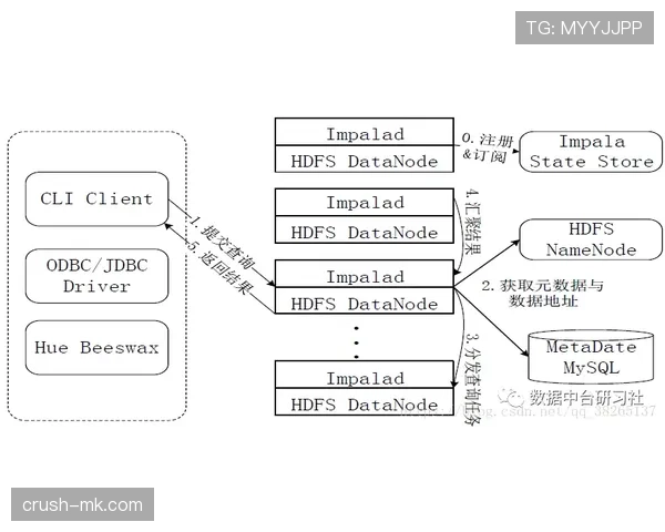 恩昆库生涯数据与团队成绩解析